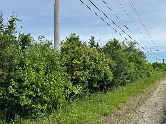 5th image of 250 W Wrentham Rd