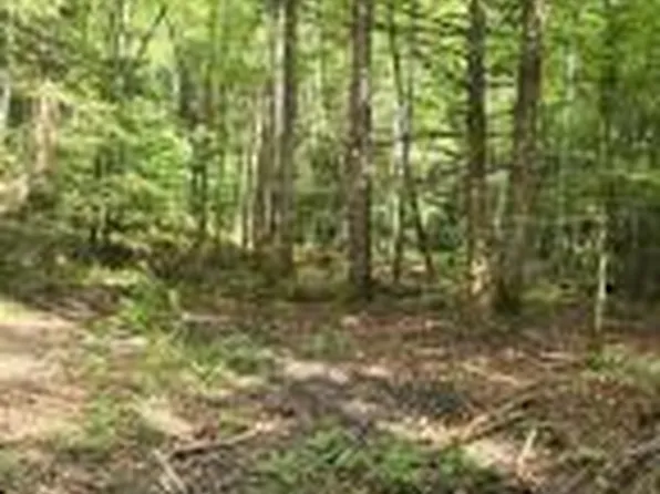 LOT 79 Fixer Rd, Zoe, KY 41397