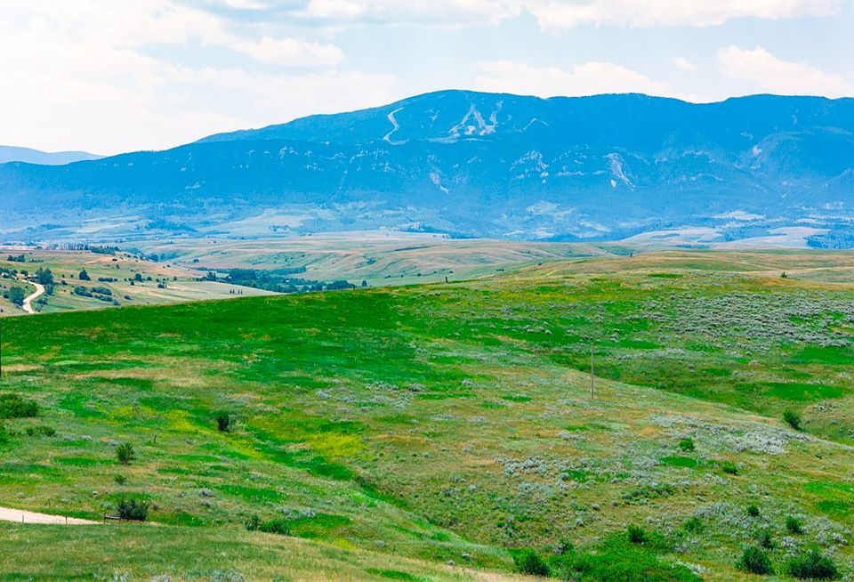 1st image of Lightning Ln