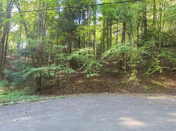0 Cataula Ct Lot 566, Ellijay, GA 30540