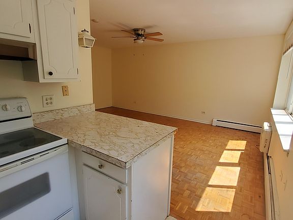 3rd image of 539 W Stratford Pl APT 307
