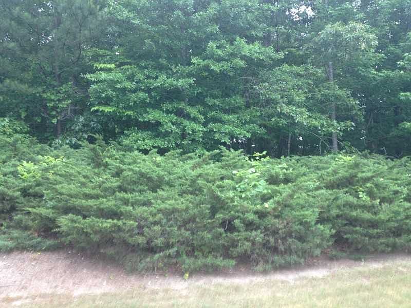 2nd image of 850 Cramac Dr