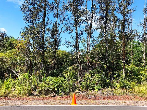 3rd image of Tree Fern Dr Lot 56