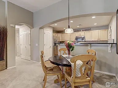 2871 Whitetail Cir — Photo 8