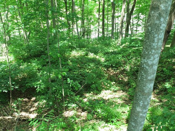Pea Ridge Rd, Scottsville, KY 42164