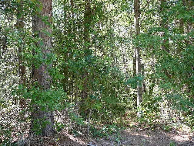 2nd image of 1090 Hidden Oak Dr