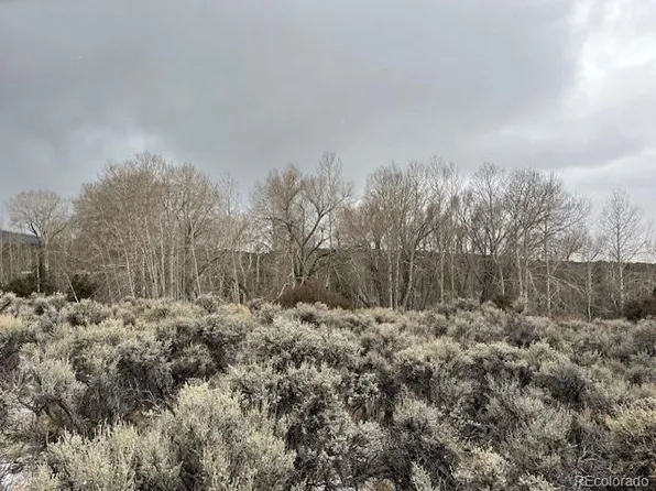 Lot 2242 Slegers Road, Fort Garland, CO 81133