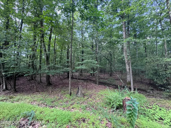 3 Tioga Dr, Kunkletown, PA 18058