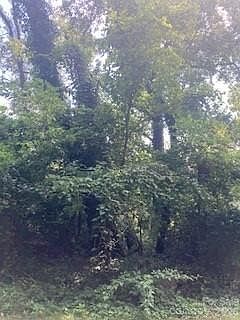 1st image of 99999 Old Haw Creek Rd Lot 1