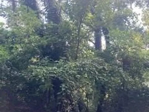 99999 Old Haw Creek Road 1 #&-2, Asheville, NC 28805