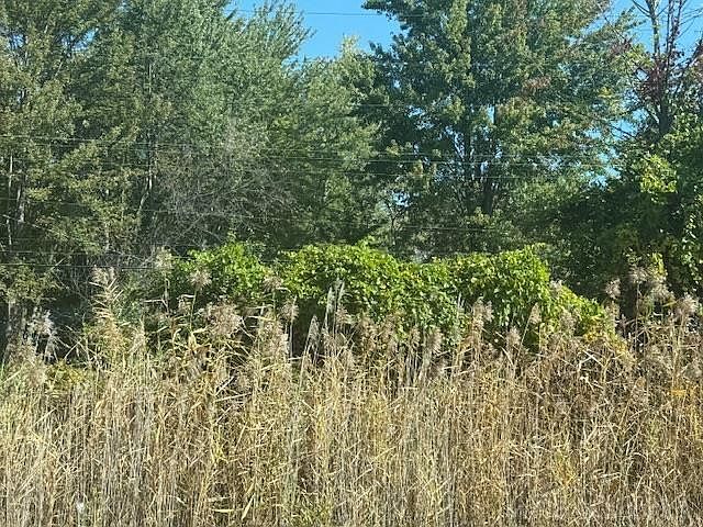 2nd image of 21 Mile Rd