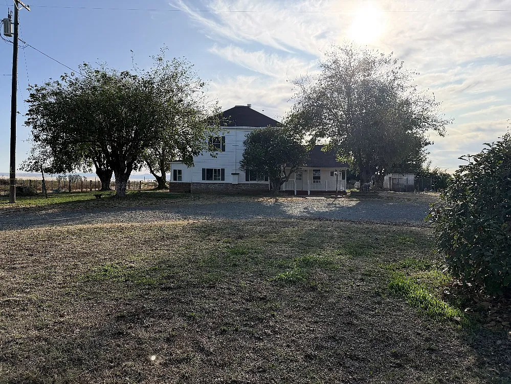 3 bed, 248 sqft, $2,350 — Photo 3
