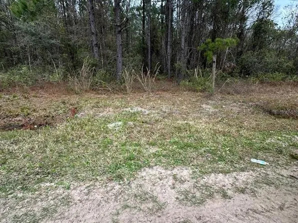 Florence St, Hastings, FL 32145