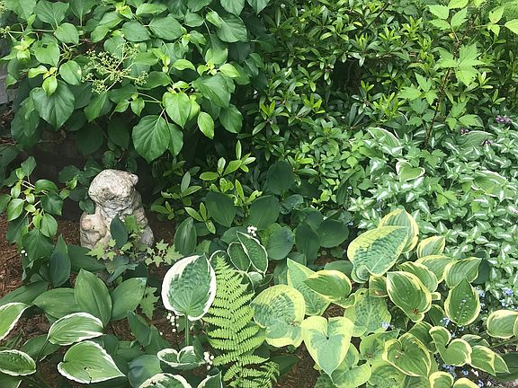 Hidden treasures