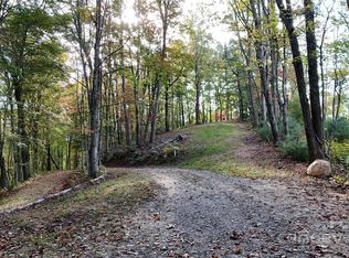 2 Roberts Mountain Rd LOT 2, Clyde, NC 28721