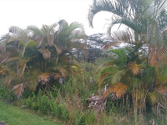 5th image of 13-3445 Kaupili St Lot 34