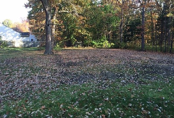 3rd image of 41 Manley Ave