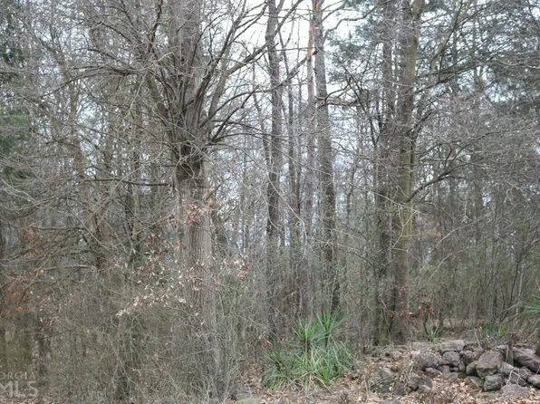 0 Duffell Martin Rd, Comer, GA 30629