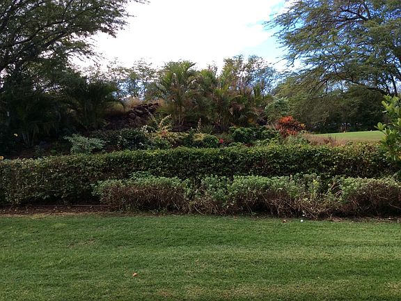 Backyard to the golf course