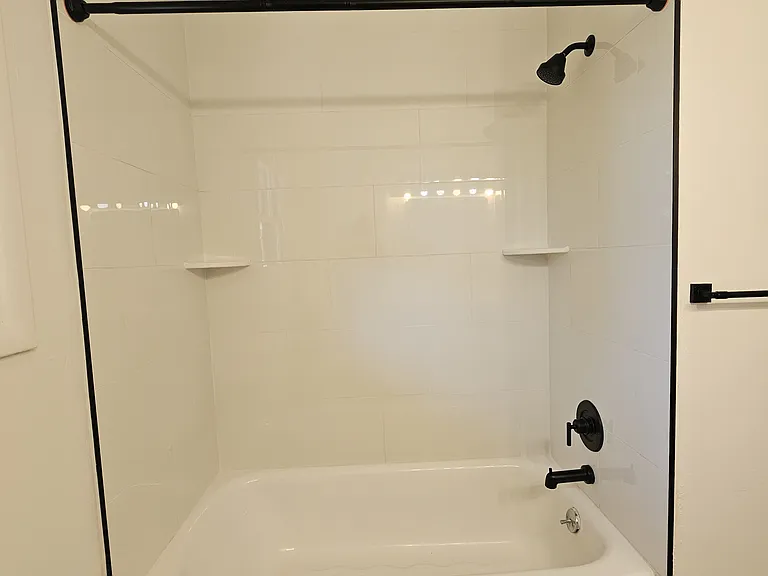 Shower/Tub Combo