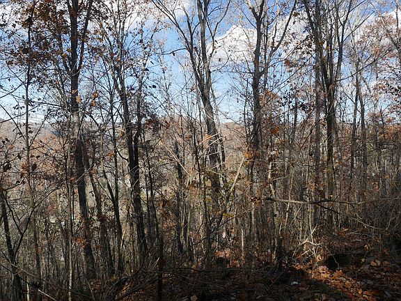 3rd image of 444 Silver Leaf Poplar Ln Lot Wp001