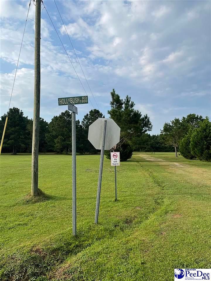 Healing Springs Ct, Timmonsville, SC 29161 MLS 20232864 Zillow