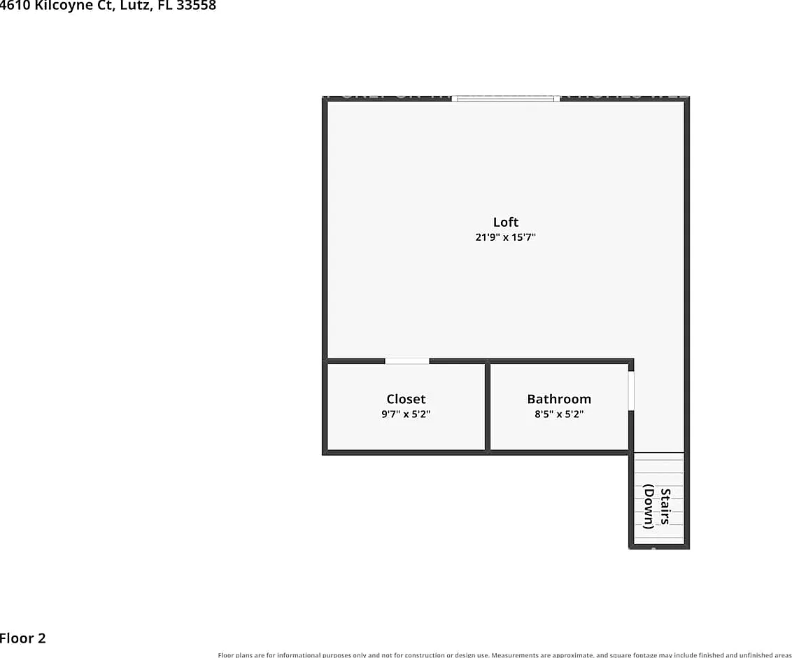 4610 Kilcoyne Ct Lutz, FL 33558 — Photo 3