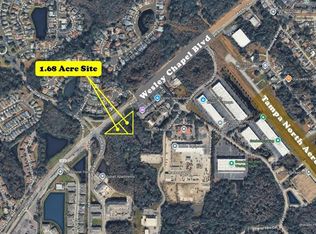 WESLEY CHAPEL BLVD, LUTZ, FL 33559
