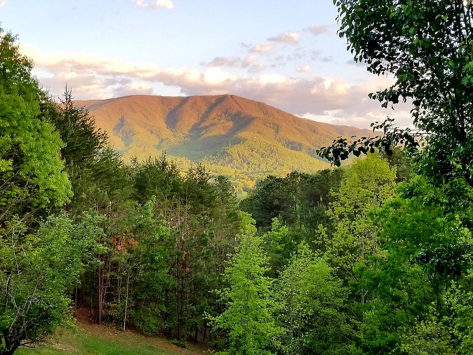 Summer view from the deck