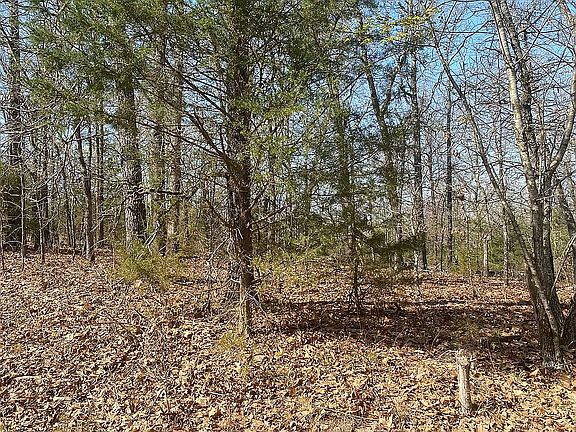 4th image of 406 Dogwood Dr
