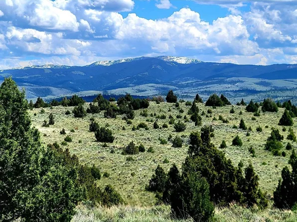 TRACT D2 Two #3, Alder, MT 59710
