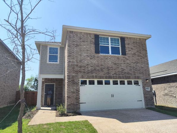 4517 Wood Fern
