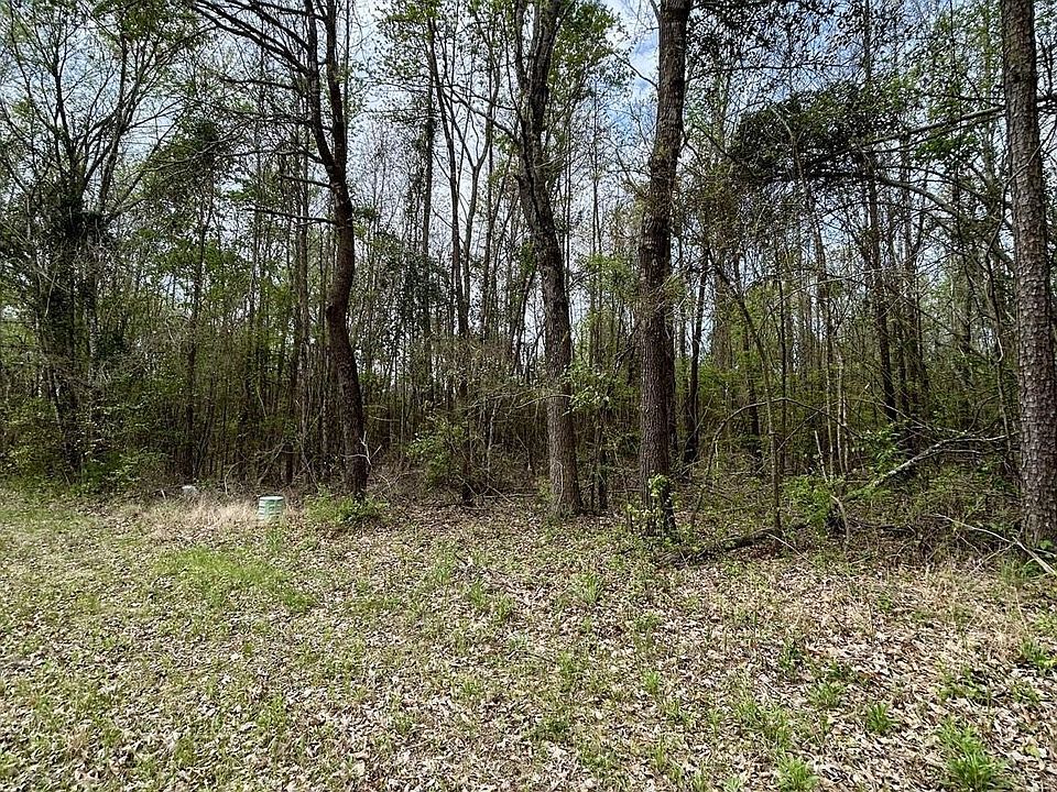 2nd image of 7 Fm 1519 N