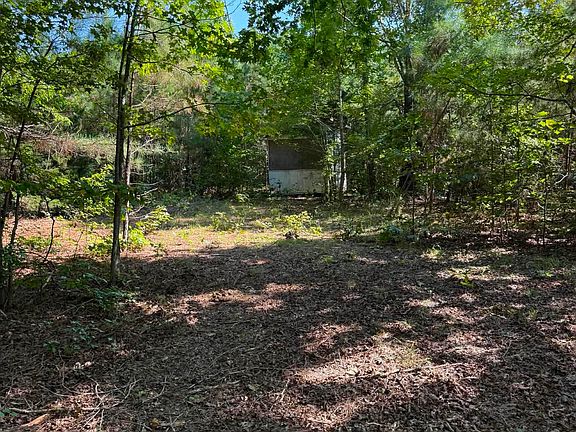 5th image of 5100 County Road 85