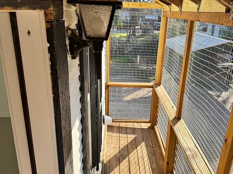 206 Cleveland St #A — Photo 3
