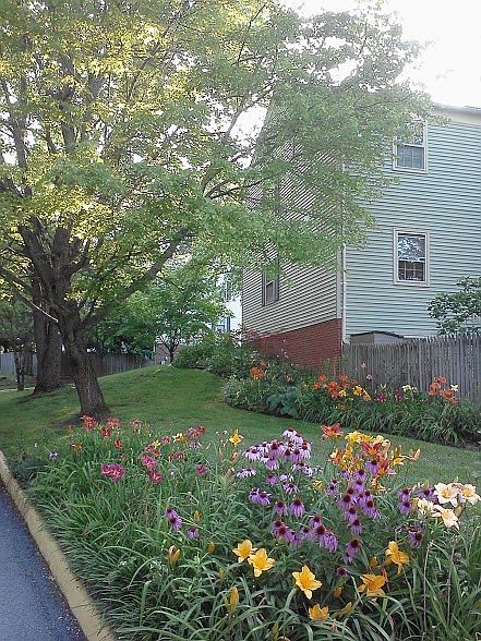 1st image of 2800 Chelsea Ct