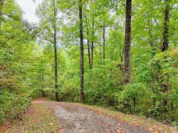 LOT 1 Skyview Dr Lot 1, Hayesville, NC 28904