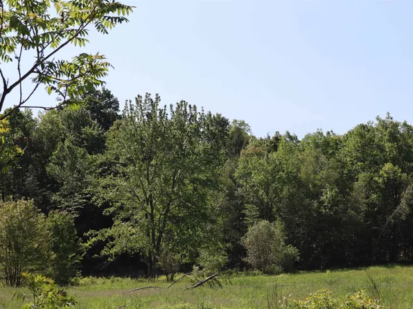 1041 Smead Road Lot 1, Salisbury, VT 05769