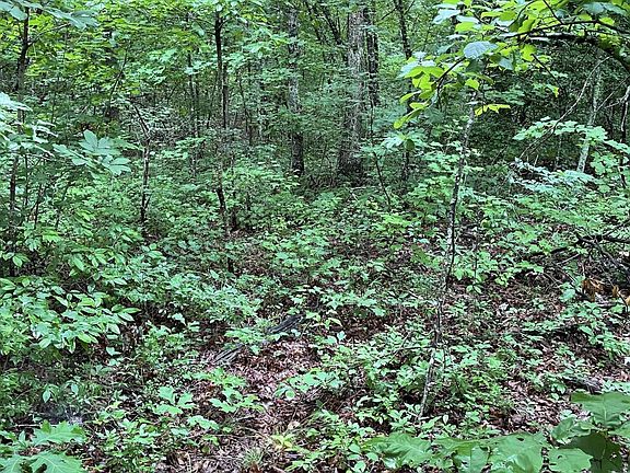 5th image of 0 Bear Creek Rd