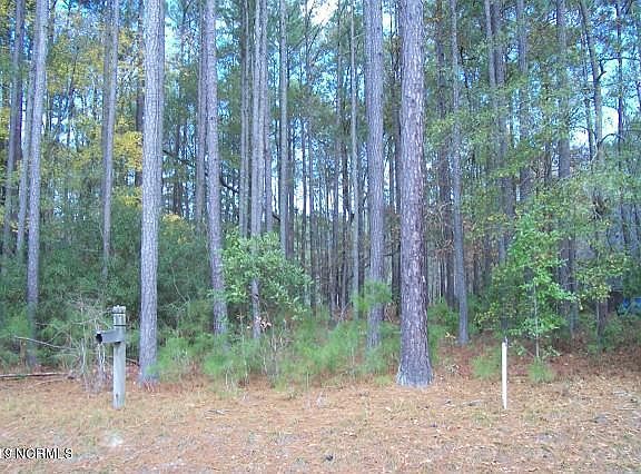 2nd image of Lot 117 Tupelo Lane