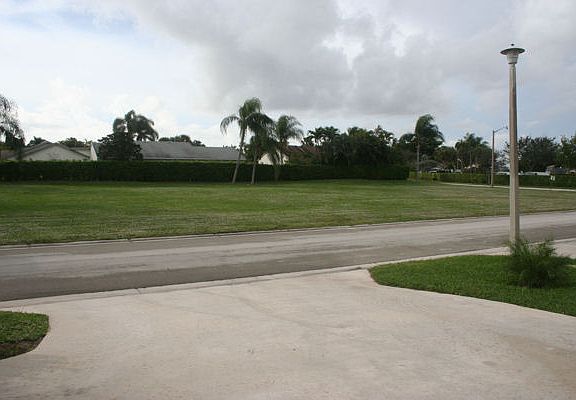 View out kitchen window