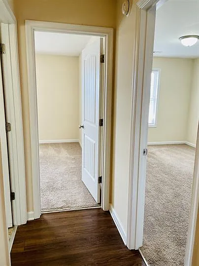 301 Rotunda St #101 — Photo 33