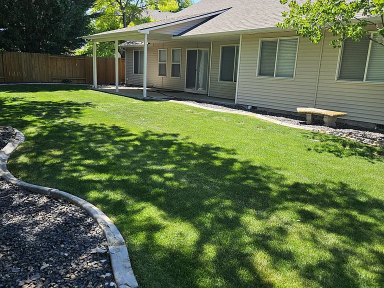 Back yard