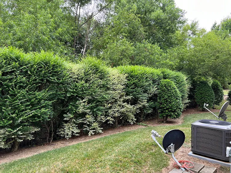 14113 Castle Abbey Ln — Photo 21