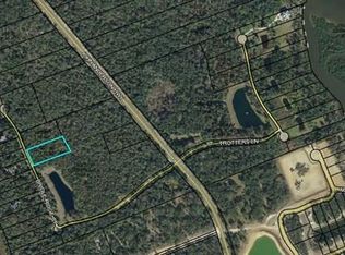 82 Bridle Ridge Ct, Flagler Beach, FL 32136