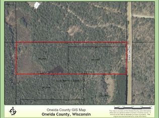 On Black Lake Rd LOT 1 & 2, Minocqua, WI 54548