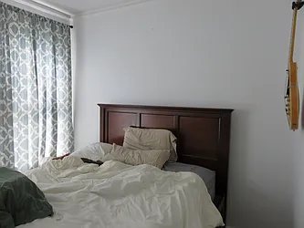 Rented by Majesty Management