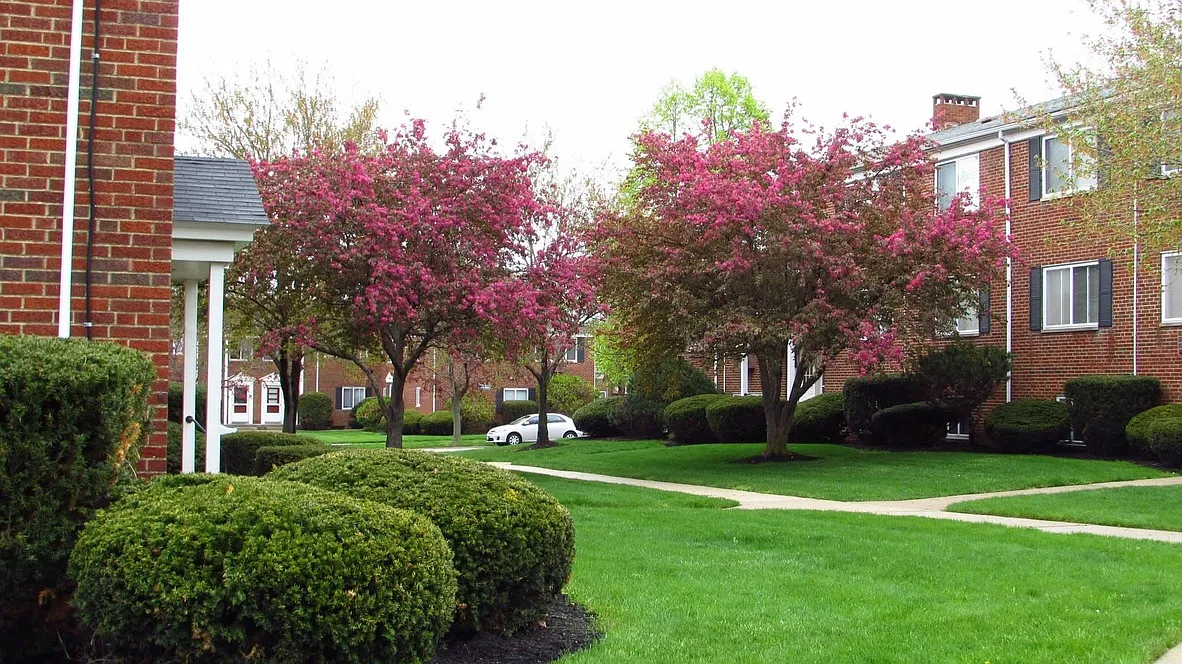 Lawn Village — Photo 4