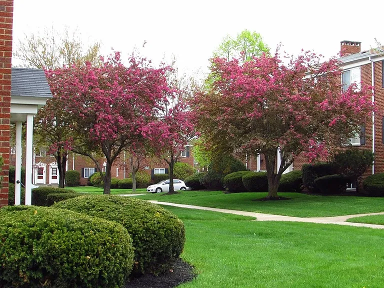Lawn Village — Photo 4