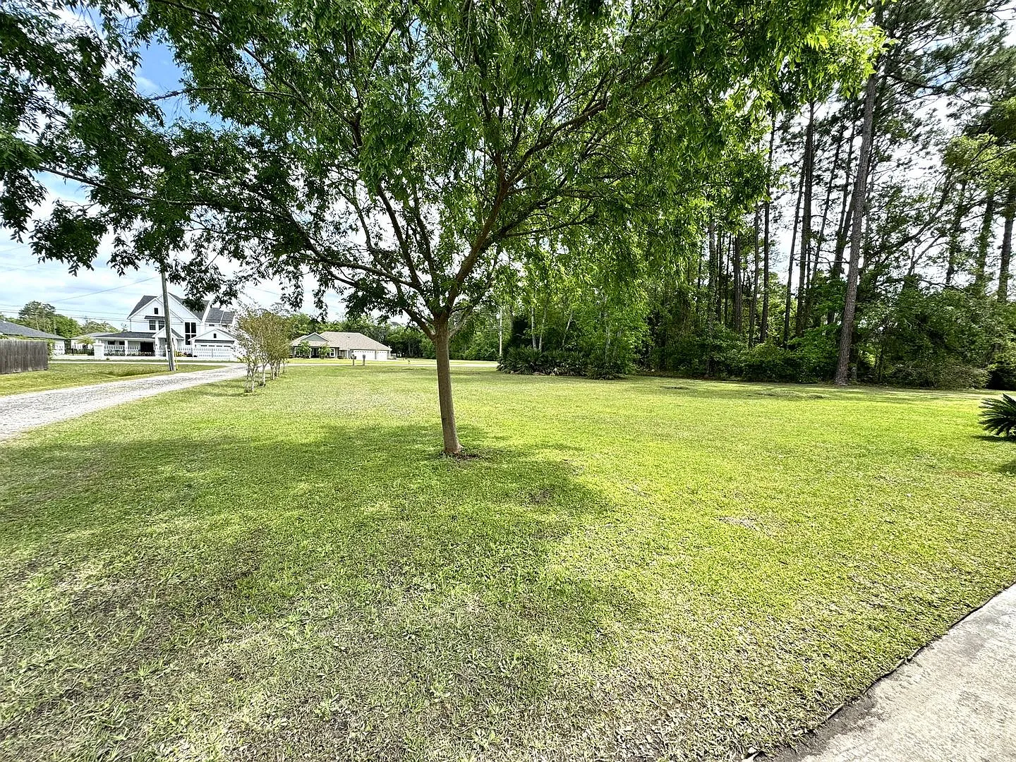 Stunning 4BR/2BA Fleming Island Ranch Home — Photo 2